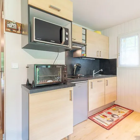 Apartment 6 Pers. Au Coeur De St-lary - Fr-1-296-517